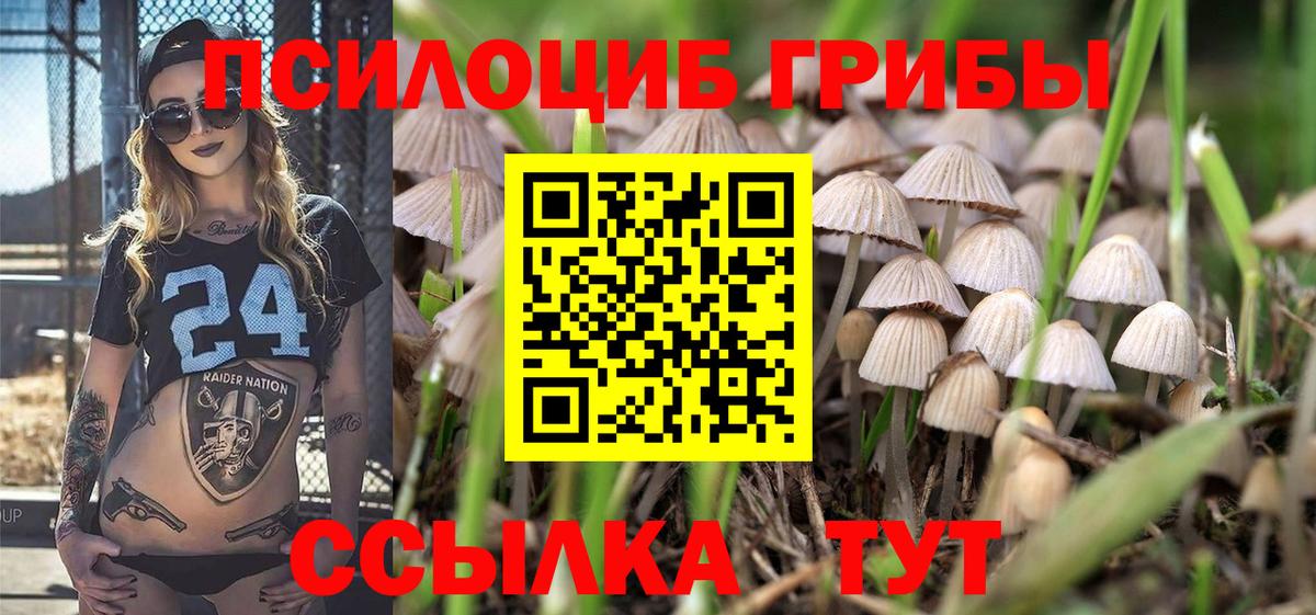 Зеленокумск  ЭКСТАЗИ  Меф   Вход с VPN  МДМА  МЕФ  Cocaine  ГАШИШ  Конопля 