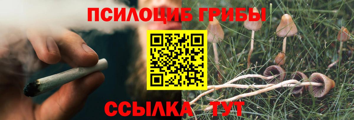 где купить   Вход с VPN  Зеленокумск  Псилоцибиновые грибы Magic Shrooms 
